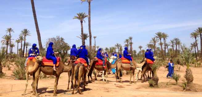 camel-ride-marrakech